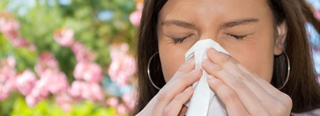 La alergia, cada vez menos “primaveral” por el cambio climático