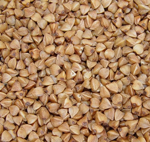 Trigo sarraceno, ideal para hacer harina sin gluten